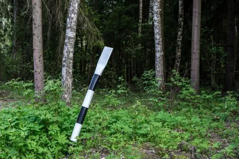 Metal pole in the forest. Stock Photos