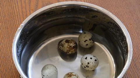 Metal pot with tiny quail eggs in clear water ready to cook boiling Stock Photos