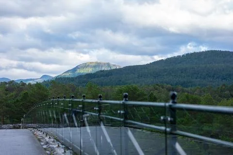Metal railing in sharp focus frames expansive view of coniferous forest, dist Stock-Fotos