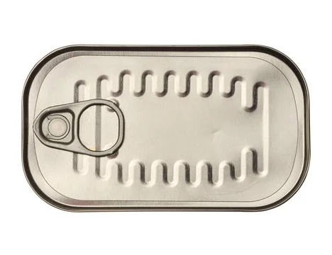 Metal rectangular tin can for fish and other products on an isolated backg... Foto stock