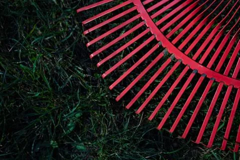 Metal red rake on a  grass, close-up Stock Photos