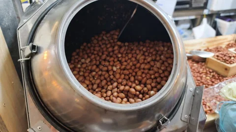 Metal roasters handle bulk production raw peanuts. Industrial nut processing Stock Footage 322566241