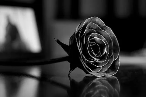 Metal rose on a table Stock Photos