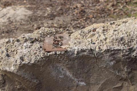 Metal rusty framework in concrete Stockfoto's
