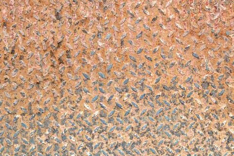 Metal rusty patterned grunge background Stock Photos