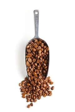 Metal scoop with coffee beans Stock Photos