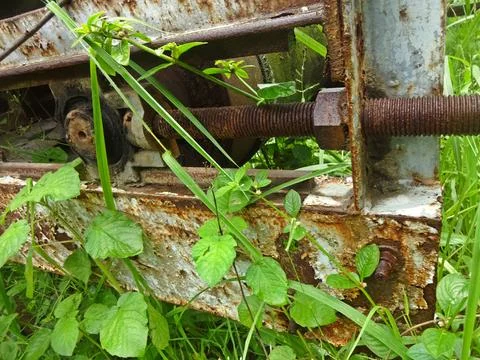 Metal scrap Stock Photos