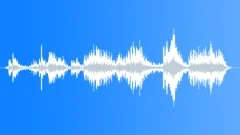METAL, SHAKESound Effect