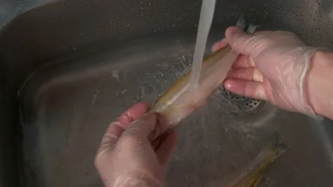 In the metal sink in the kitchen, under a stream of water, hands wash the fish Stock Footage 150867893