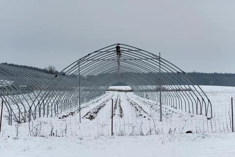 Metal skeleton framework without foil of greenhouse tunnel for cultivating st Stock Photos