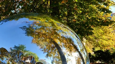 Metal Sphere with Tree Reflection in Autumn with Sunlight Video stock 220733608