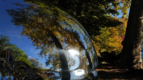 Metal Sphere with Tree Reflection in Autumn with Sunlight Video stock 220733650