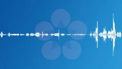 METAL SPRING CREAKS GROANS AND BOINGS VER 2 Sound Effect