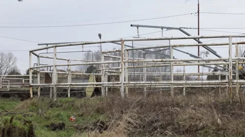 Metal structure for horse training and strong wind Stock Footage 235937699