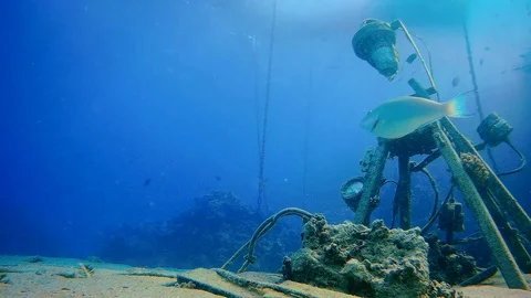 Metal structures as artificial reefs at the seabed Vídeo Stock 122588752