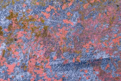 Metal surface corroded and flaking with lichen and rust Stock Photos