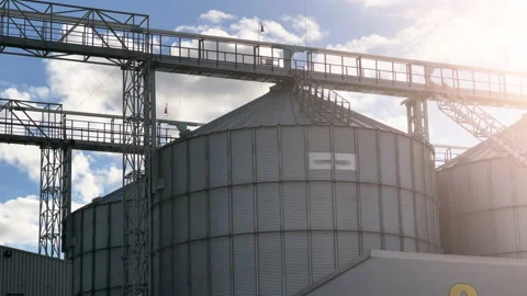 Metal tanks for processing and storage of soybean and wheat grain. Harvesting Video stock 219565480