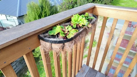 Metal trough planter Stock Footage 328739850