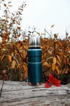 Metal vacuum thermos in the autumn forest. Stock Photos