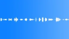 Metal Various Metal Engaged Piece Ratchet Scrape Series x14 Various PerformanceSound Effect