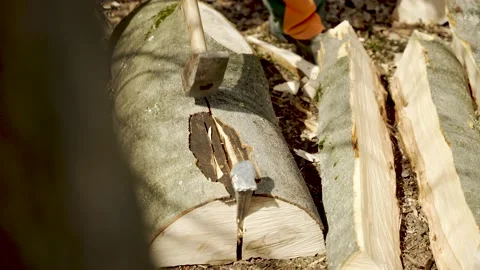 Metal Wedge Stuck In Tree Log Being Struck By Axe On Forest Floor Stock Footage 226339863