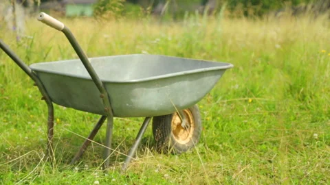 Metal wheelbarrow on field Stock Footage 101116569