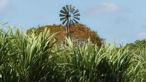 Metal Windmill Behind Grassfield Stock Footage 129633035