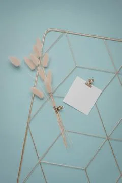Metal wire grid with sticky notes and pink feathers on blue background Stock Photos