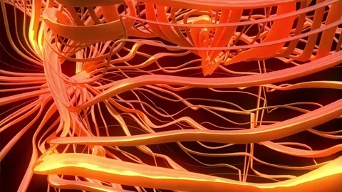 Metalic abstract lines background Glowing lines Stock Footage 147075571