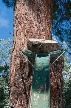 Metallic beam to prop up a tree in a public garden Stock Photos