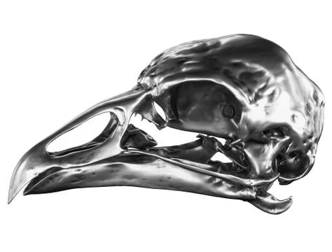 Metallic Bird Skull Stock Illustration