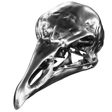 Metallic Bird Skull Illustrazione stock