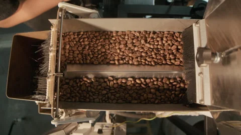 Metallic Coffee Bean Processing Machine in Roasting Plant Stock Footage 301301492