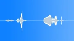 Metallic gate creakingSound Effect