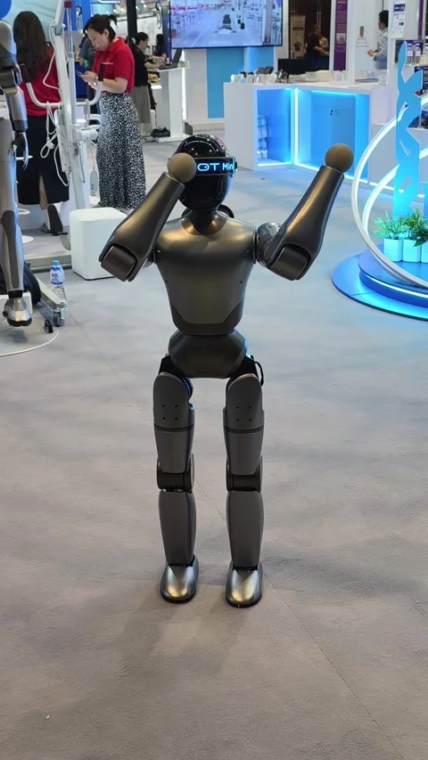 Metallic gray humanoid robot Stock-Footage 338319565