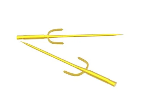 Metallic historical epee for battle Stock Illustration
