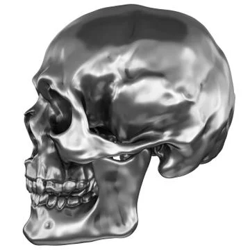 Metallic Human Skull Stock Illustration