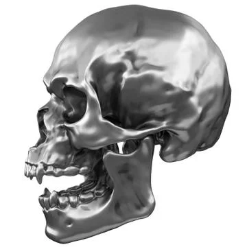 Metallic Human Skull Stock Illustration