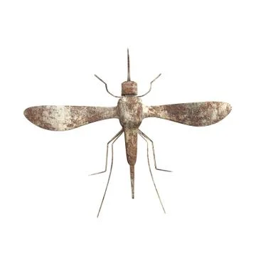 Metallic mosquito Stock Illustration