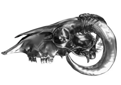 Metallic ram skull Stock Illustration