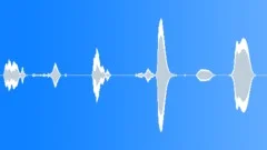 Metallic Screaks, Dissonant, Shrill, Creaks, V3 Sound Effect