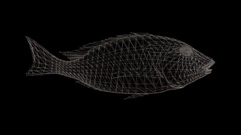 Metallic shade wire-frame network structure connection with line and dot on f Stock Illustration