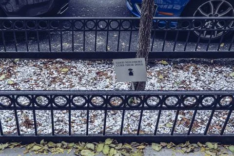 A Metallic sign at base of sidewalk tree stating that good neighbors curb their Stock Photos