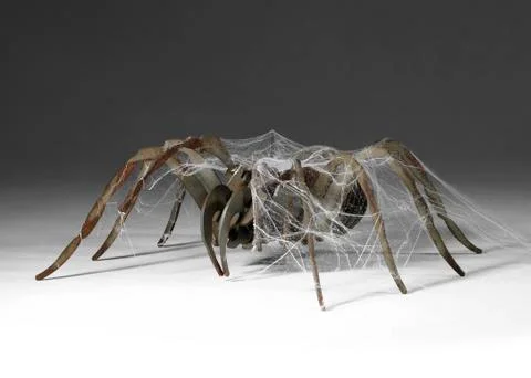 Metallic spider Stock Photos