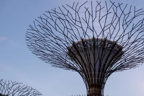 Metallic tree structure reaches skyward against clear blue Stock Photos