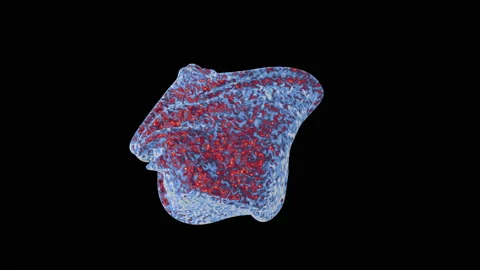 Metamorphosis of plastic form on a black background. Futuristic blue red liquid Stock-Footage 95827947