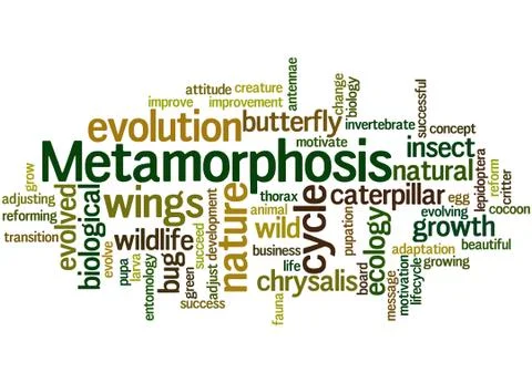 Metamorphosis, word cloud concept Stock Illustration