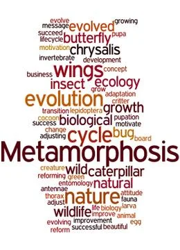Metamorphosis, word cloud concept Stock Illustration