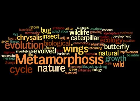Metamorphosis, word cloud concept Stock Illustration