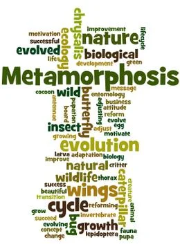 Metamorphosis, word cloud concept Stock Illustration